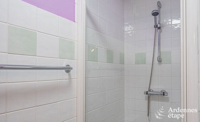 Ruim vakantiehuis voor 32 personen in Ferri�res met 12 slaapkamers, sauna, jacuzzi en speelvoorzieningen