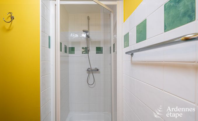 Ruim vakantiehuis voor 32 personen in Ferri�res met 12 slaapkamers, sauna, jacuzzi en speelvoorzieningen