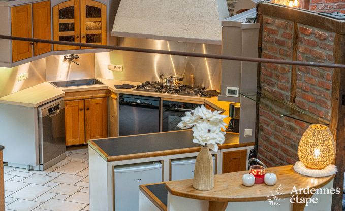 Ruim vakantiehuis voor 32 personen in Ferri�res met 12 slaapkamers, sauna, jacuzzi en speelvoorzieningen