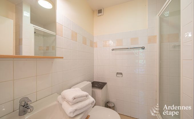 Ruim vakantiehuis voor 32 personen in Ferri�res met 12 slaapkamers, sauna, jacuzzi en speelvoorzieningen