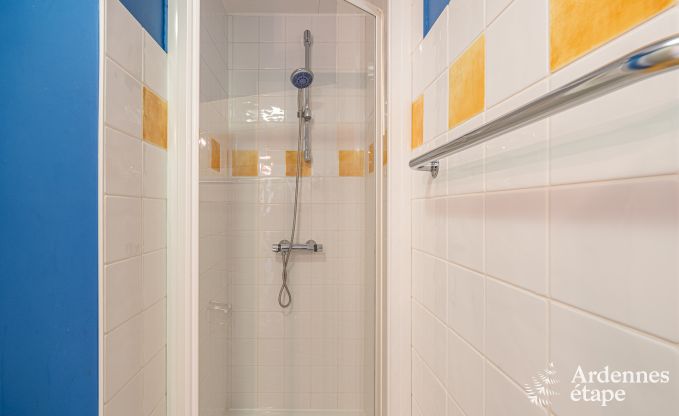 Ruim vakantiehuis voor 32 personen in Ferri�res met 12 slaapkamers, sauna, jacuzzi en speelvoorzieningen