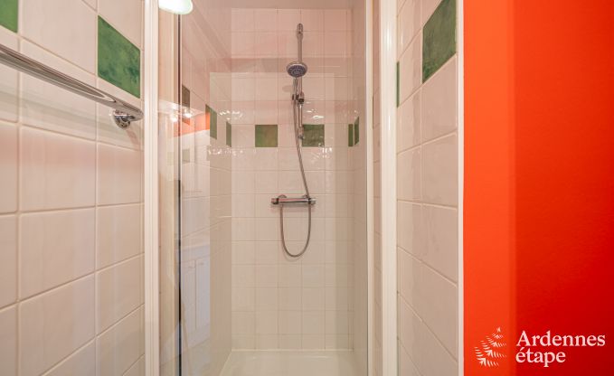 Ruim vakantiehuis voor 32 personen in Ferri�res met 12 slaapkamers, sauna, jacuzzi en speelvoorzieningen