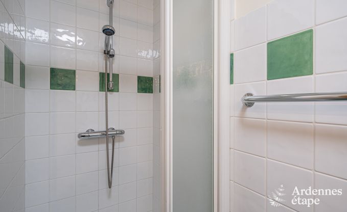 Ruim vakantiehuis voor 32 personen in Ferri�res met 12 slaapkamers, sauna, jacuzzi en speelvoorzieningen