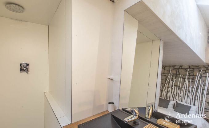 Vakantiehuis in Ferri�res voor 14 personen in de Ardennen