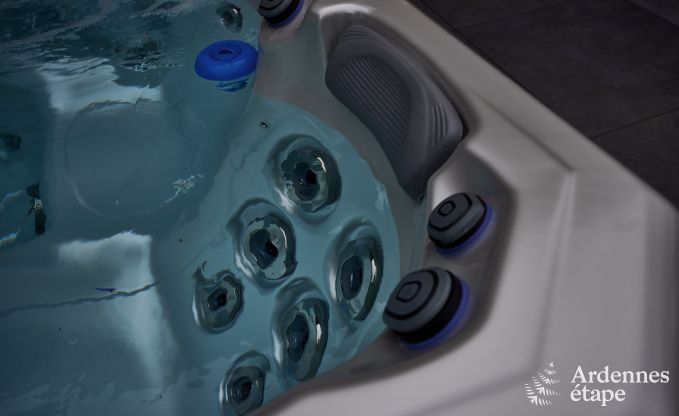 Luxe villa in Ferrires Ardennen, 15 personen, 7 slaapkamers, spa, verwarmd zwembad, priv tuin, aangepaste voorzieningen