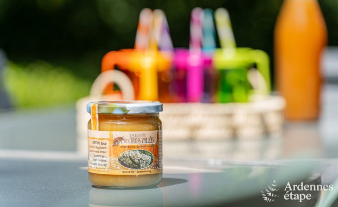 Vakantiehuis in Ferri�res voor 32 personen in de Ardennen