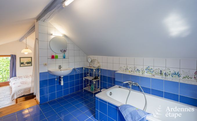 Vakantiehuis in Ferri�res voor 2/3 personen in de Ardennen