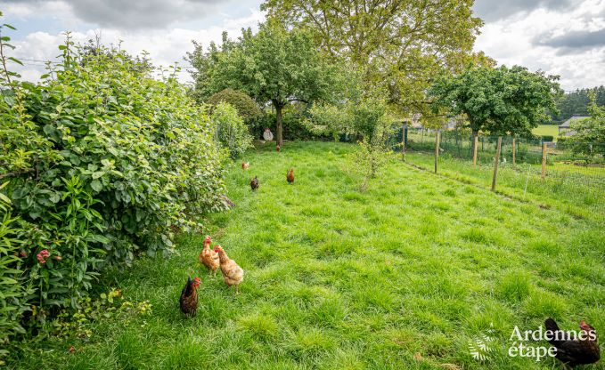 Vakantiehuis in Ferri�res voor 2/3 personen in de Ardennen