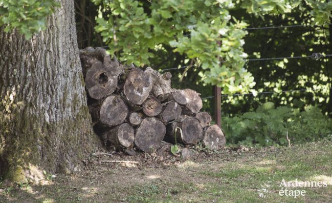 Vakantiehuis in Ferri�res voor 9 personen in de Ardennen