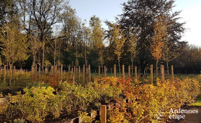 Comfortabel vakantiehuis voor 4 personen in Florennes, Ardennen