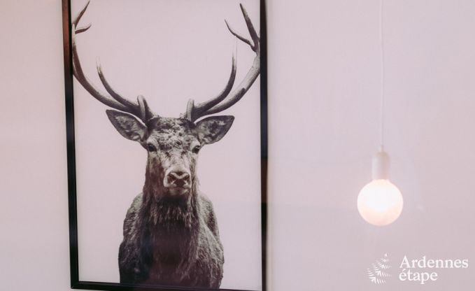Chalet in Florenville (Bouillon) voor 6 personen in de Ardennen