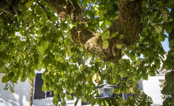 Vakantiehuis in Florenville voor 12 personen in de Ardennen