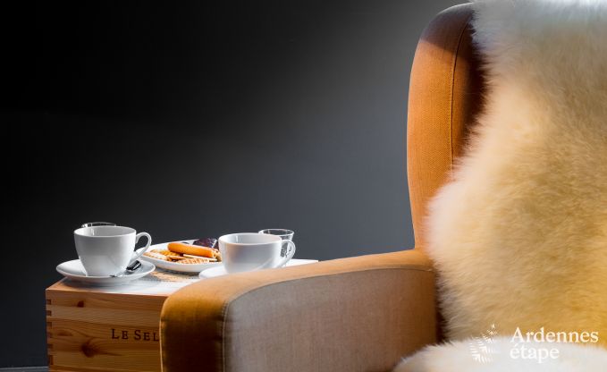 Vakantiehuis in Florenville voor 12 personen in de Ardennen