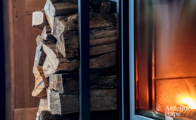 Vakantiehuis in Florenville voor 12 personen in de Ardennen