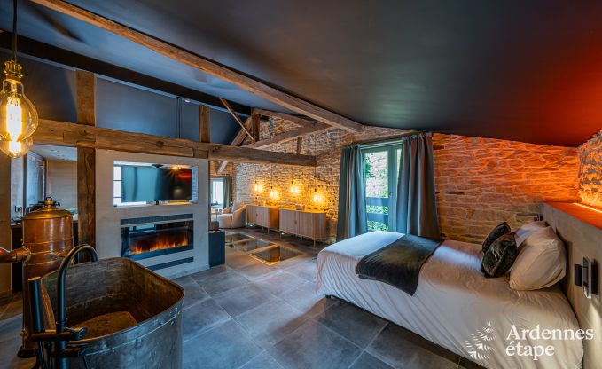 Luxe romantische woning voor 2 personen in Sainte-Ccile, met sauna en jacuzzi