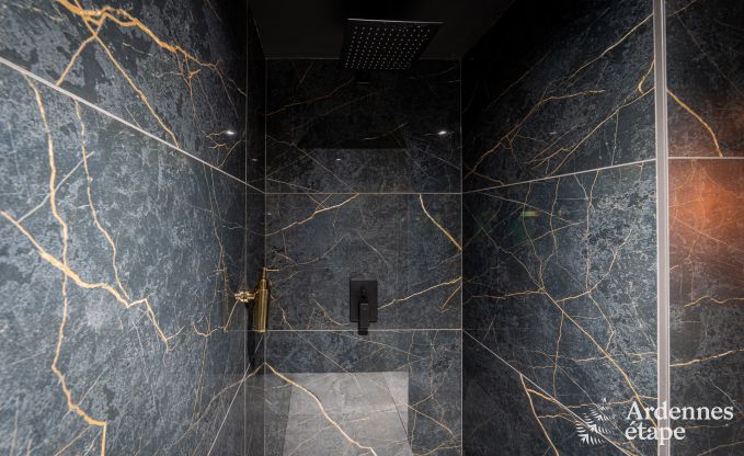 Luxe romantische woning voor 2 personen in Sainte-C�cile, met sauna en jacuzzi