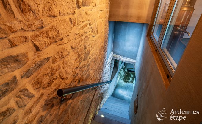 Luxe romantische woning voor 2 personen in Sainte-C�cile, met sauna en jacuzzi