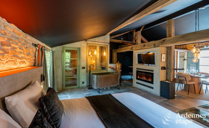 Luxe romantische woning voor 2 personen in Sainte-C�cile, met sauna en jacuzzi