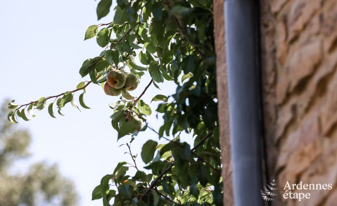 Cottage in Florenville voor 6/7 personen in de Ardennen