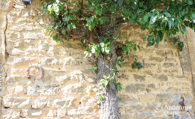 Cottage in Florenville voor 6/7 personen in de Ardennen