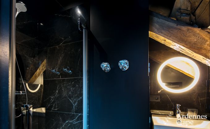 Vakantiehuis in Florenville voor 12 personen in de Ardennen