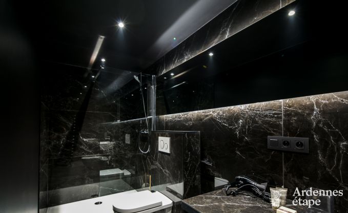 Vakantiehuis in Florenville voor 12 personen in de Ardennen