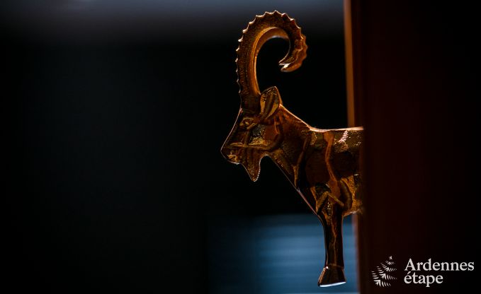 Vakantiehuis in Florenville voor 12 personen in de Ardennen