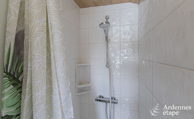 Vakantiehuis in Florenville voor 8 personen in de Ardennen