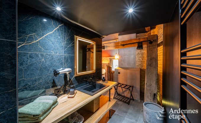 Luxe romantische woning voor 2 personen in Sainte-Ccile, met sauna en jacuzzi