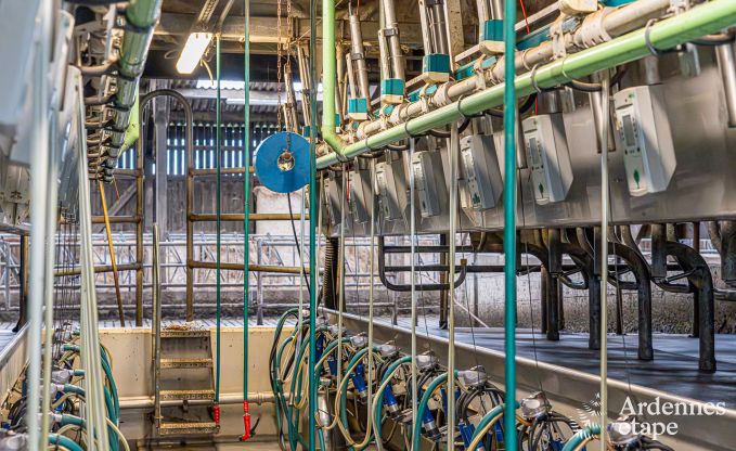 Vakantiehuis in Fourons voor 10 personen in de Ardennen