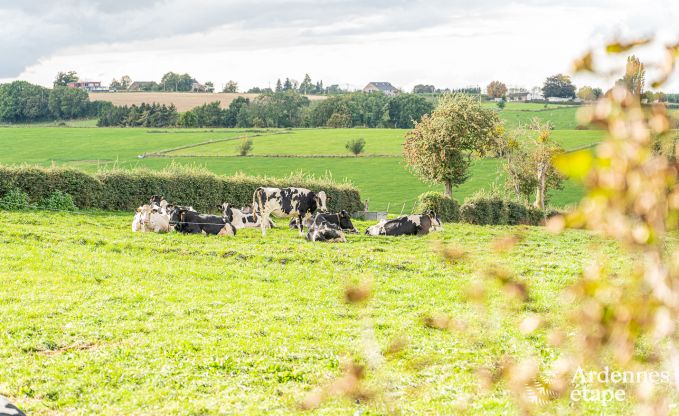 Vakantiehuis in Fourons voor 10 personen in de Ardennen