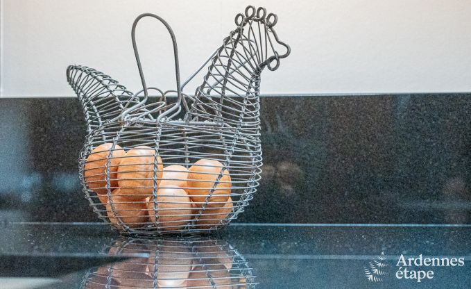 Vakantiehuis in Fourons voor 10 personen in de Ardennen