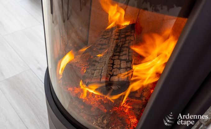 Vakantiehuis in Framont (Paliseul) voor 8 personen in de Ardennen