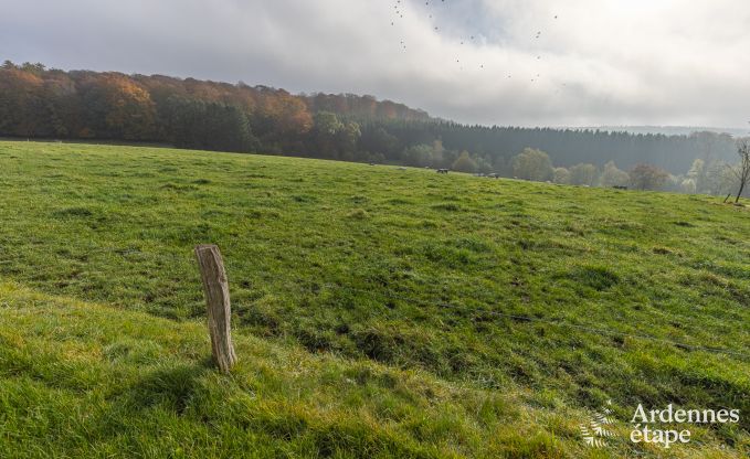 Vakantiehuis in Framont (Paliseul) voor 8 personen in de Ardennen