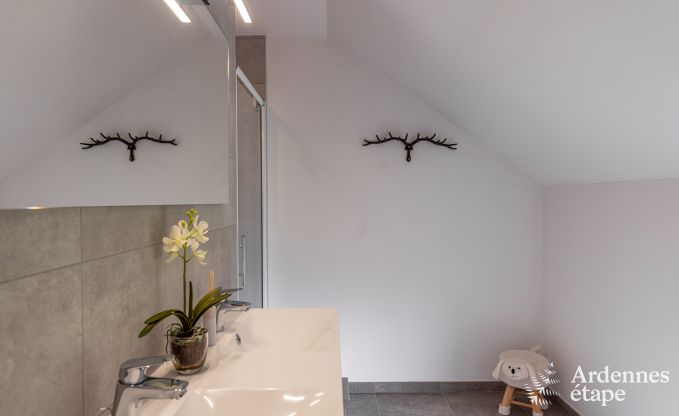 Vakantiehuis in Framont (Paliseul) voor 8 personen in de Ardennen