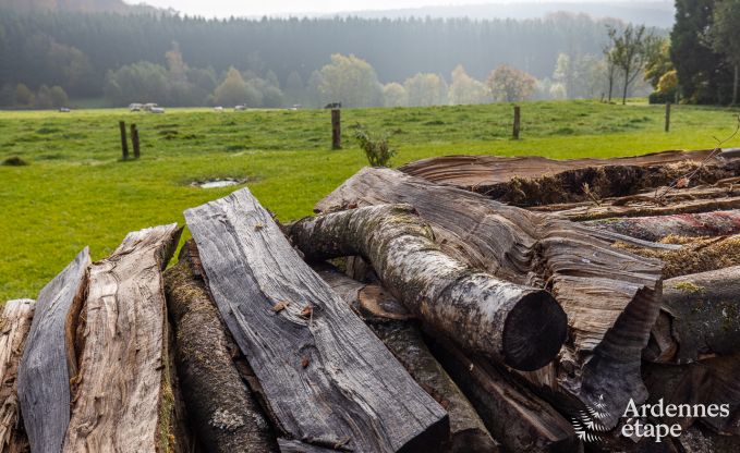 Vakantiehuis in Framont (Paliseul) voor 8 personen in de Ardennen