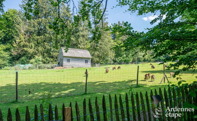 Sprookjesachtige paalwoning in Francorchamps, Hoge Venen