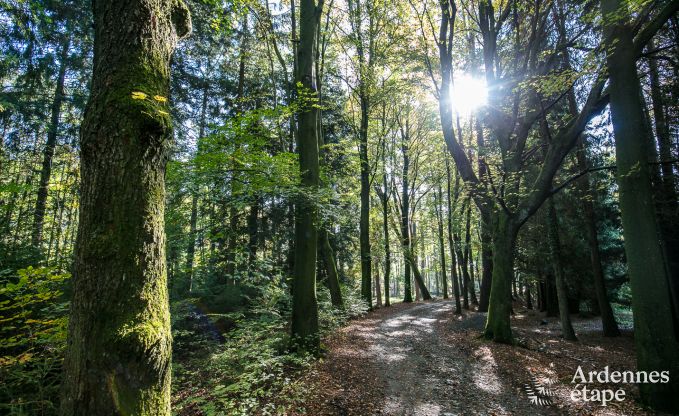 Vakantiehuis in Francorchamps voor 16 personen in de Ardennen