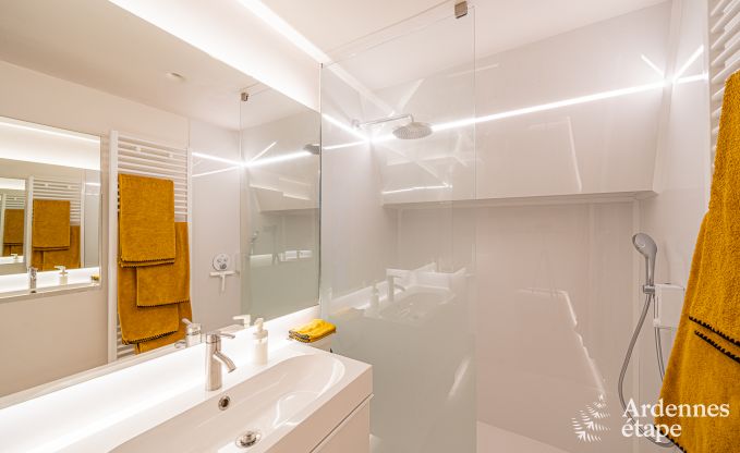 Vakantiehuis in Frasnes-lez-Anvaing voor 16/17 personen