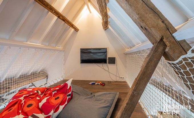 Vakantiehuis in Frasnes-lez-Anvaing voor 16/17 personen