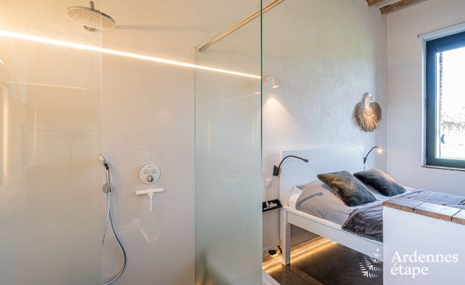 Vakantiehuis in Frasnes-lez-Anvaing voor 16/17 personen