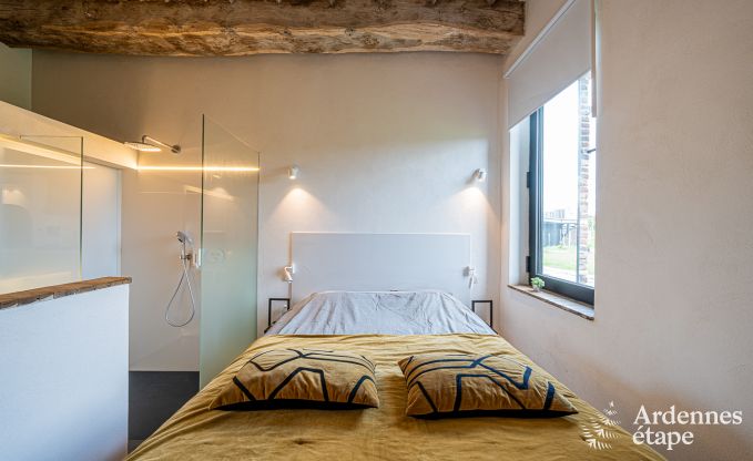 Vakantiehuis in Frasnes-lez-Anvaing voor 16/17 personen