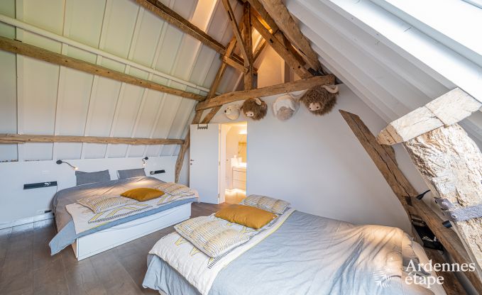 Vakantiehuis in Frasnes-lez-Anvaing voor 16/17 personen