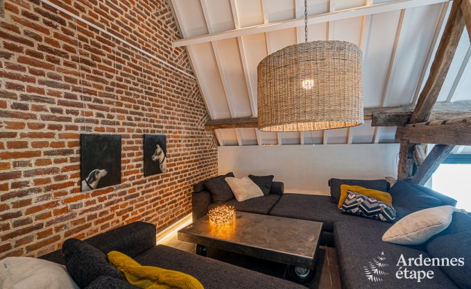 Vakantiehuis in Frasnes-lez-Anvaing voor 16/17 personen