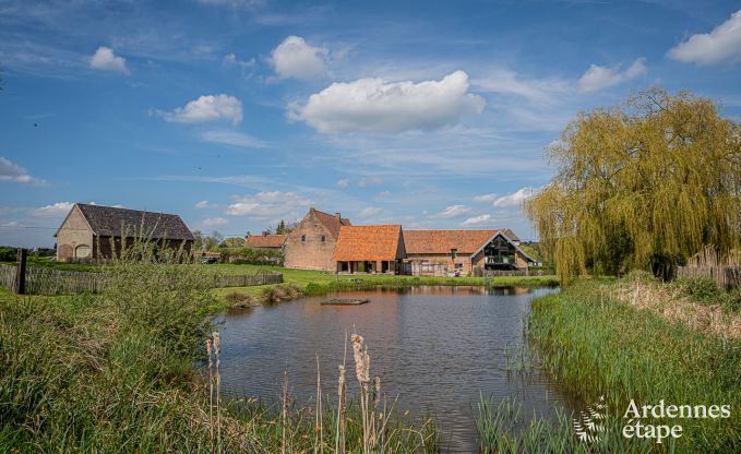 Vakantiehuis in Frasnes-lez-Anvaing voor 16/17 personen