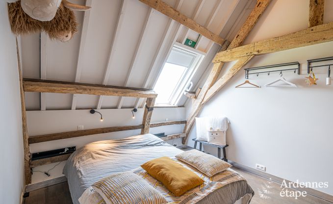 Vakantiehuis in Frasnes-lez-Anvaing voor 16/17 personen