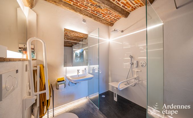 Vakantiehuis in Frasnes-lez-Anvaing voor 20/22 personen in de Ardennen