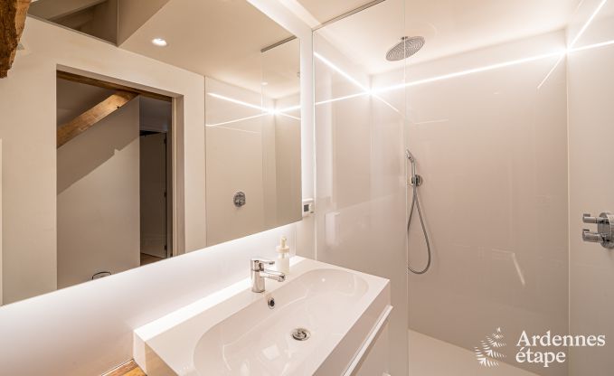 Vakantiehuis in Frasnes-lez-Anvaing voor 20/22 personen in de Ardennen