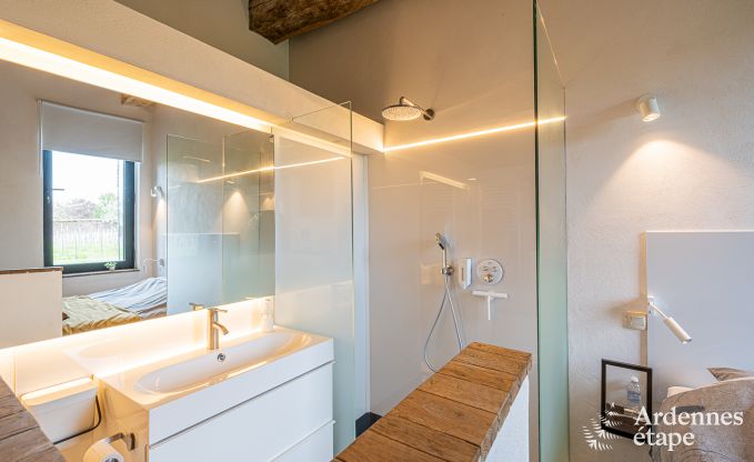 Vakantiehuis in Frasnes-lez-Anvaing voor 20/22 personen in de Ardennen