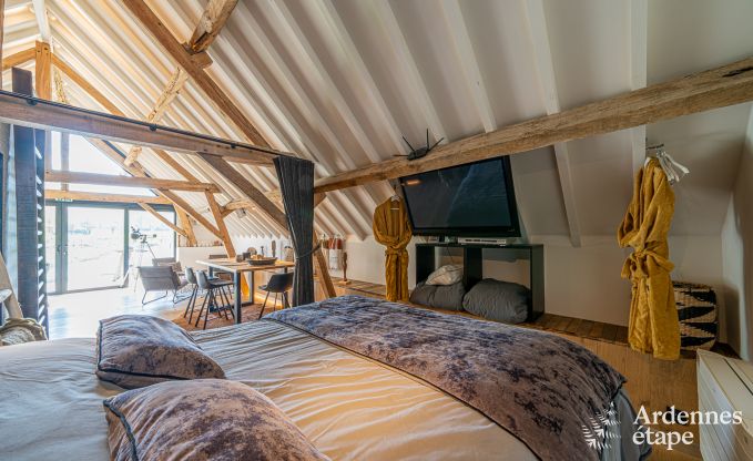 Vakantiehuis in Frasnes-lez-Anvaing voor 20/22 personen in de Ardennen